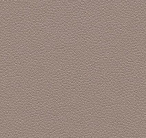 Линолеум Forbo SafeStep Aqua 180232 taupe фото 1 | FLOORDEALER